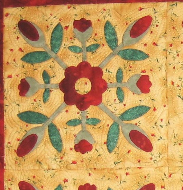 Applique Echo  Quilting Before