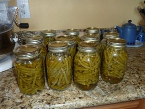 Canned Green Beans Canned Green Beans
