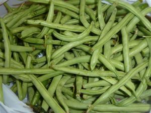 Fresh Green Beans Fresh Green Beans