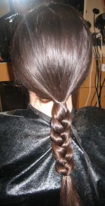 Braided Ponytail