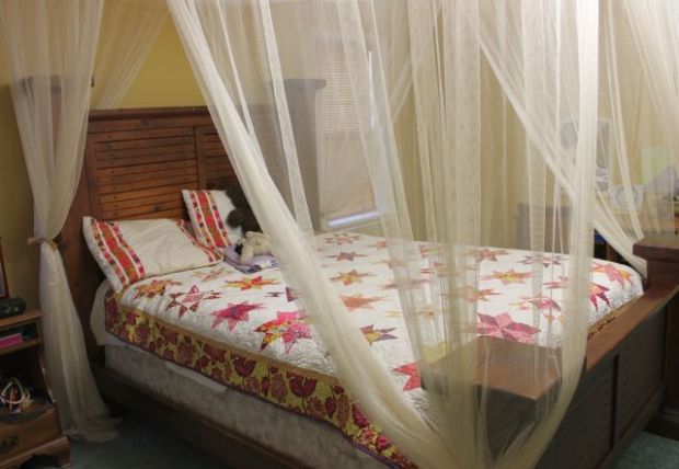 A Bed Fit for a Princess!