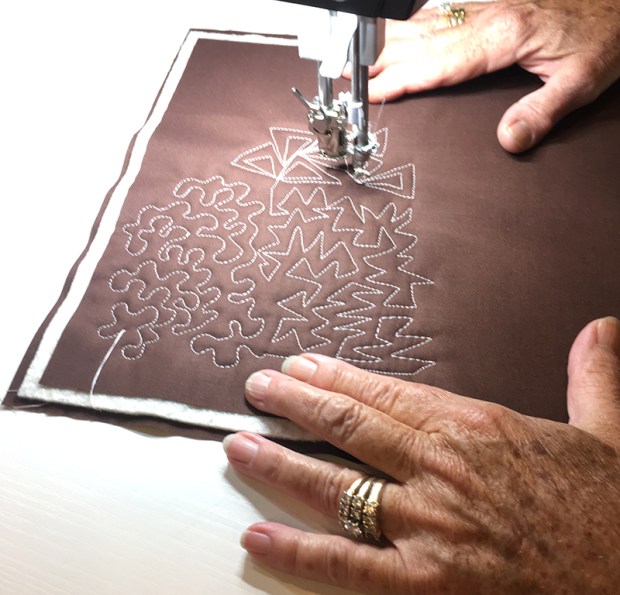 Free Motion Quilting on teh BERNINA Q20