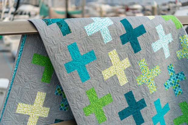 Free Motion quilting detail on Surplus strips by Christa Watson